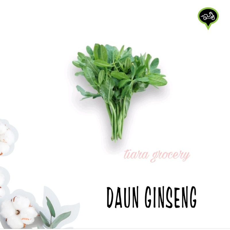 

Daun ginseng