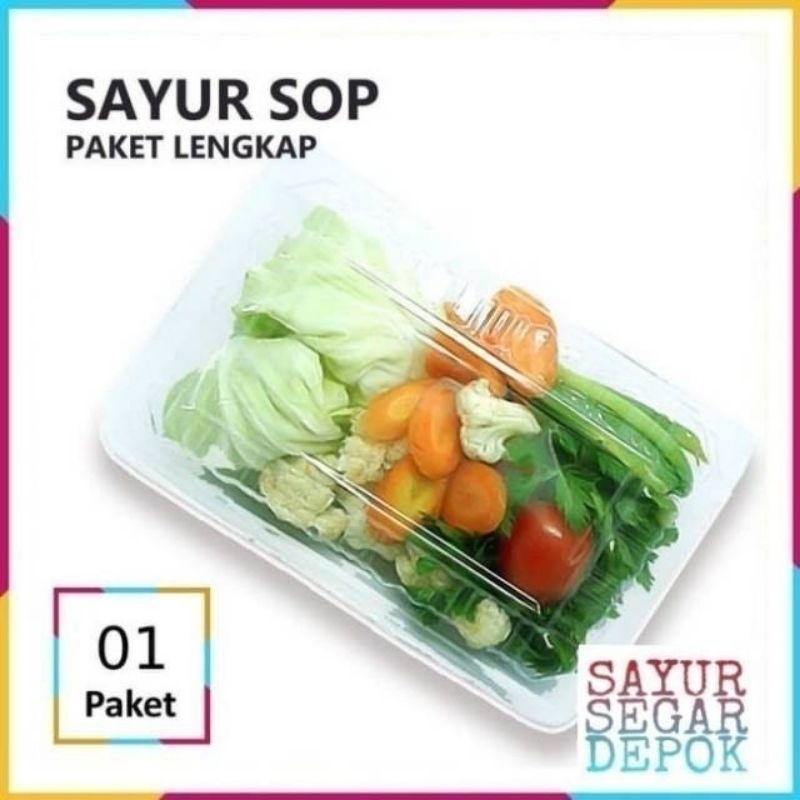 

Sayur Sop