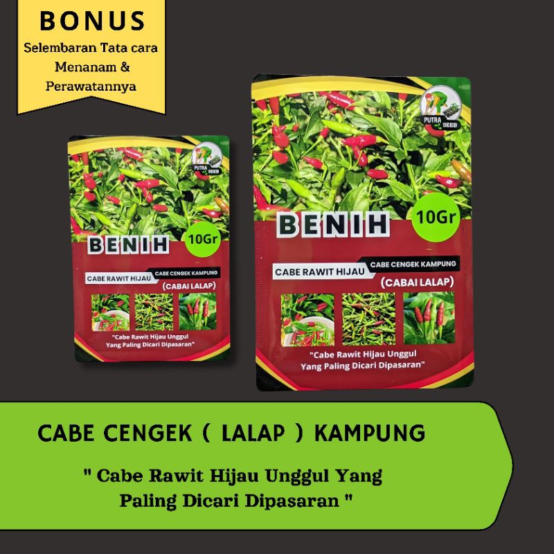 PUTRA SEED - Benih Cabe Rawit Hijau Kampung 10 Gram Bibit benih Cabai CENGEK Gunung sangat cocok Dat