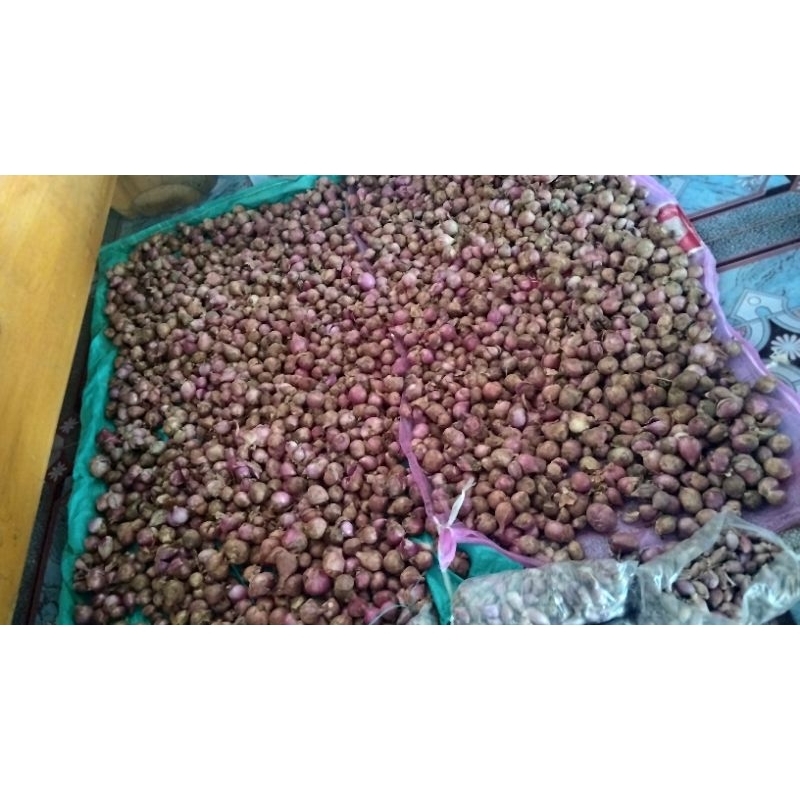 

Bawang merah lokal 1kg