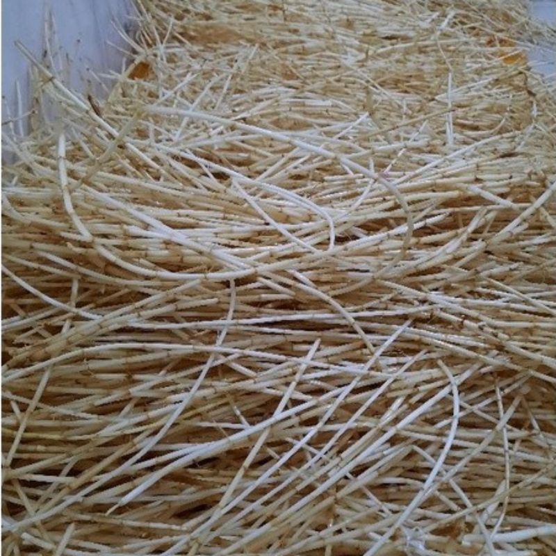 

akar Alang Alang segar fress/obat herbal alami/500gram/1kg