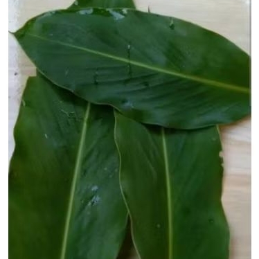 

TERMURAH Daun Kapulaga Segar 500Gram - Murah