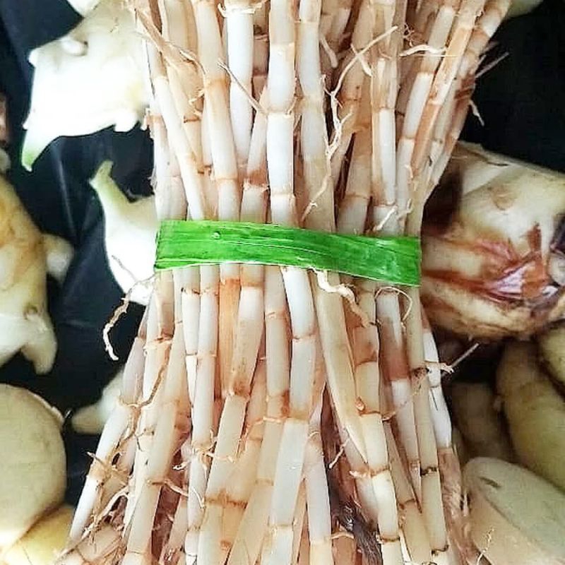 

akar alang-alang 100gr termurah