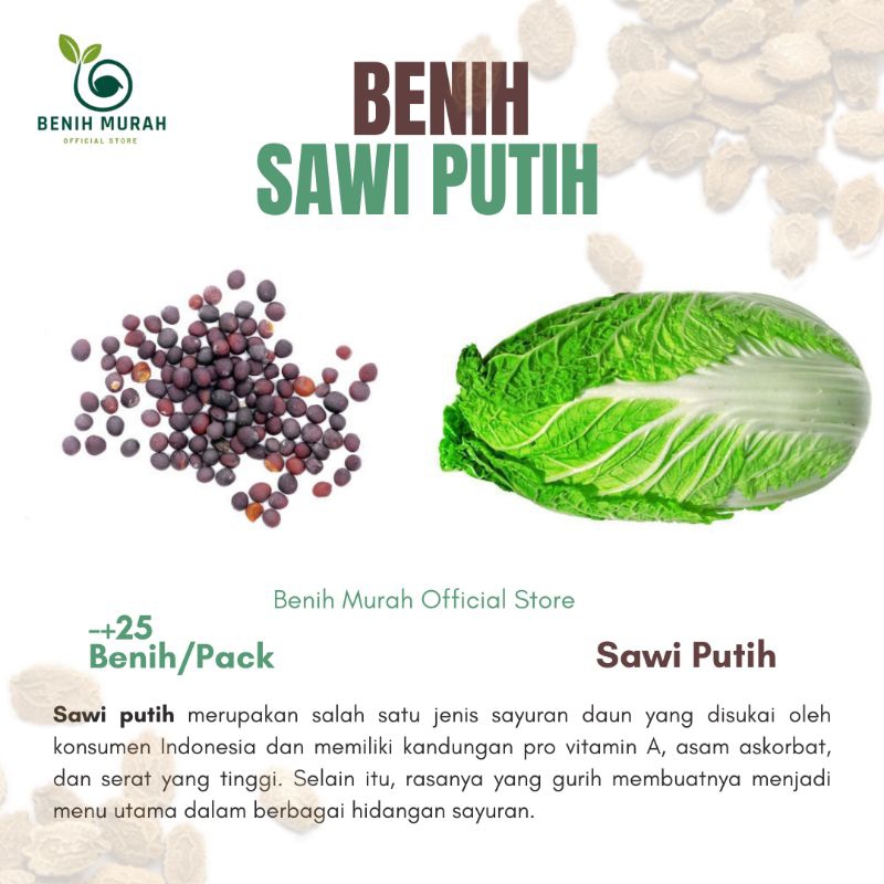 

Benih Sawi Putih