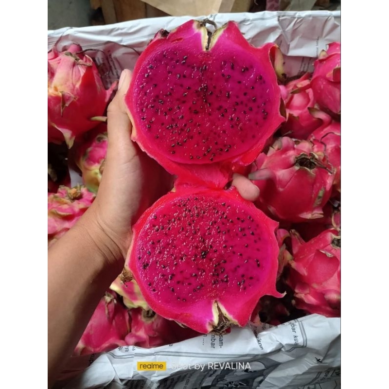 

BUAH NAGA 1 KG merah