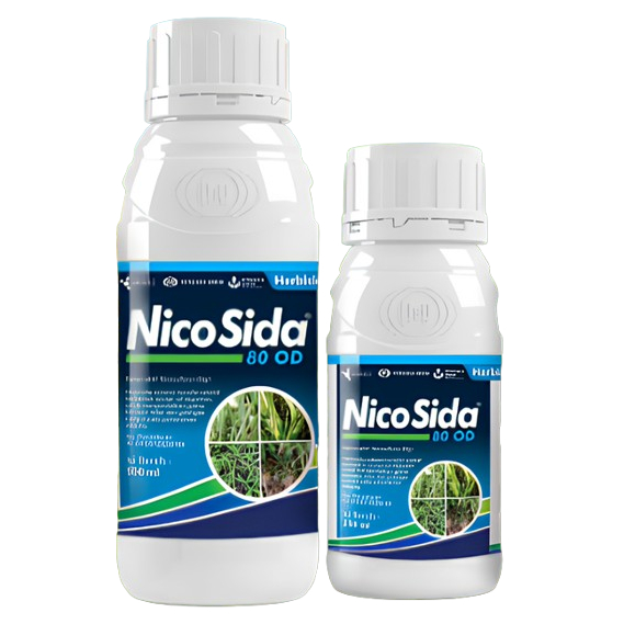 NICOSIDA Herbisida Sistemik & Selektif
