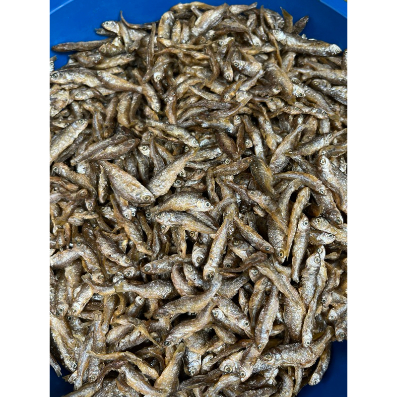 

IKAN BILIH SINGKARAK KERING ENAK RENYAH (250gr)