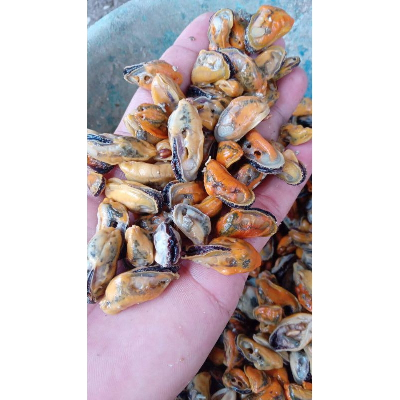 

Kerang hijau kupas 500g