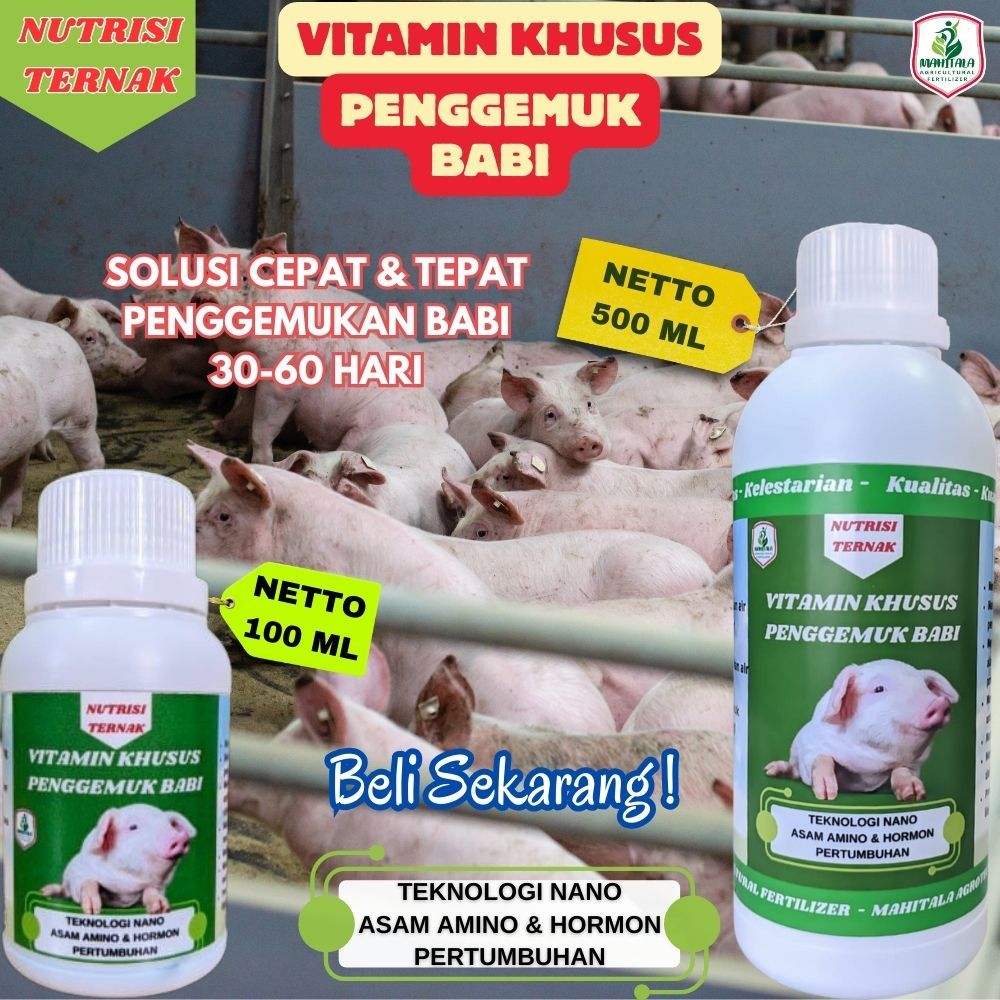 Nutrisi Babi Obat Penggemuk Ternak Babi Vitamin Organik Campur Pakan Konsentrat atau Minum Ternak