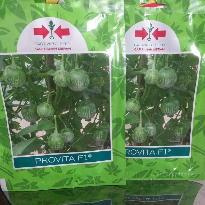 Benih terong bulat hijau provita f1 kemasan isi 400 butir
