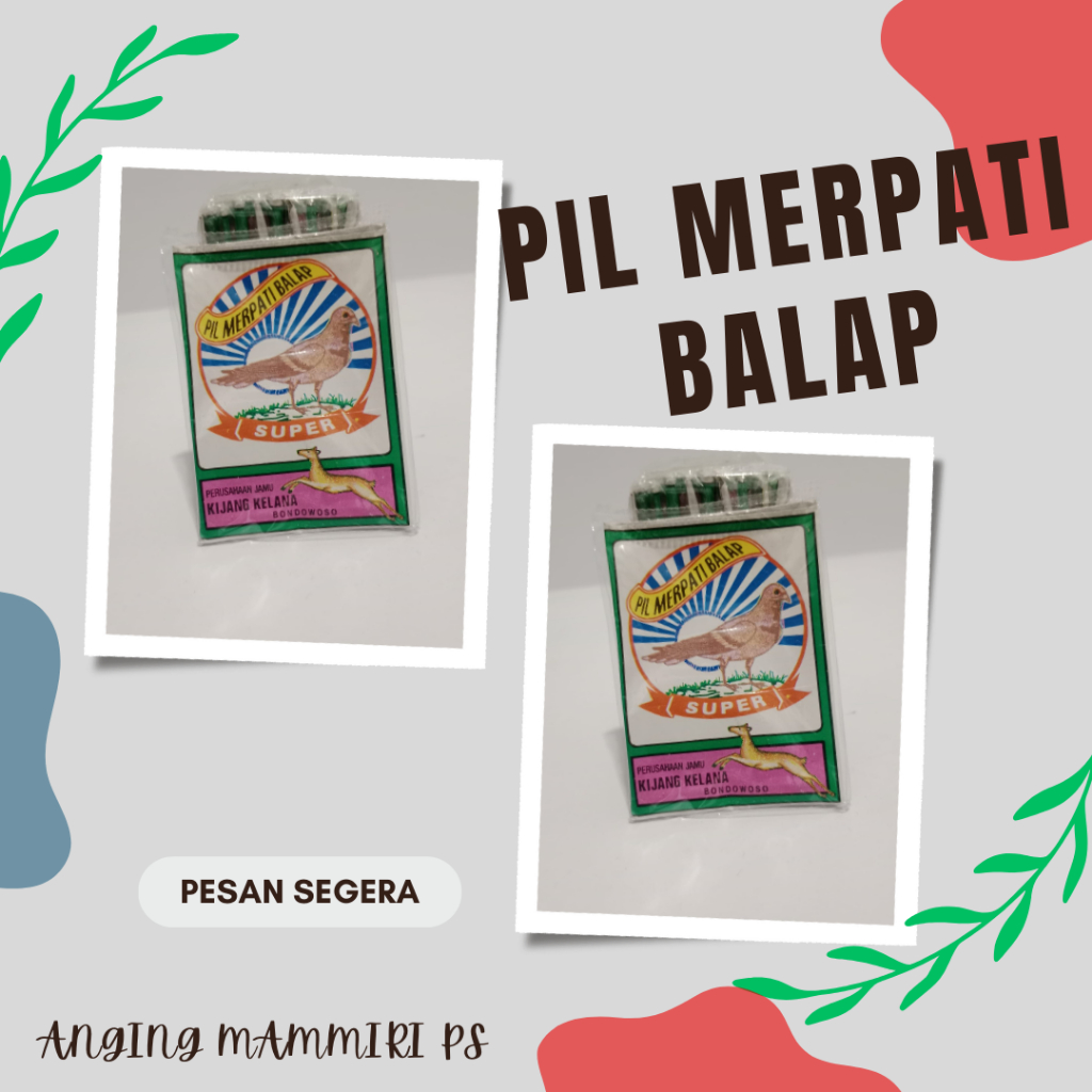 PIL MERPATI BALAP ( Kijang Kelana Bondowoso Pil Merpati Balap Super)