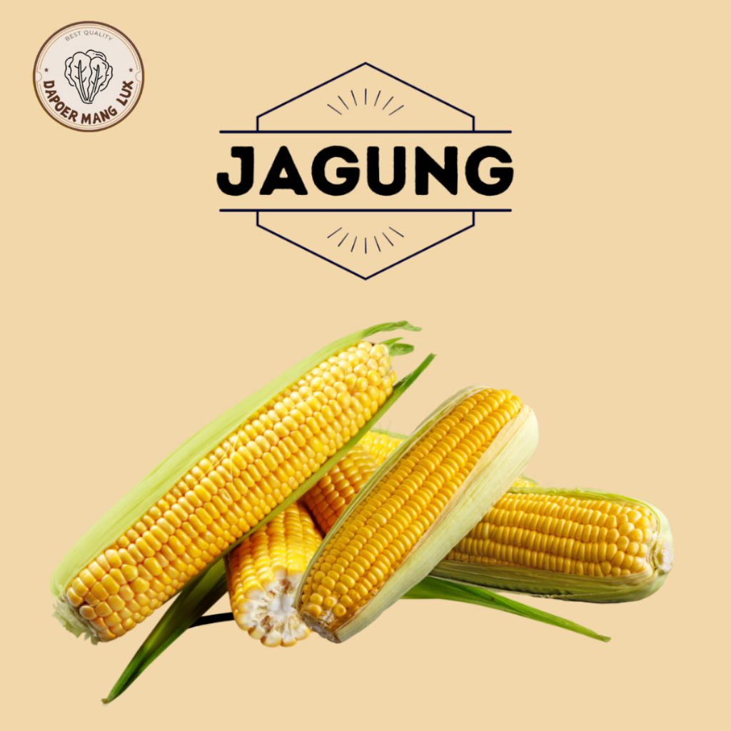

JAGUNG 1 PCS FRESH VEGETABLE BEST QUALITY