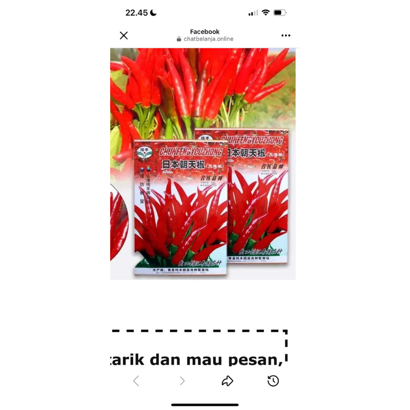 

Benih Cabe Mahkota