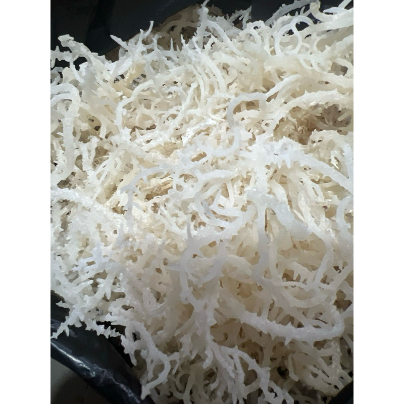 

Rumput Laut 1kg kering normal spinosum kenyal asli