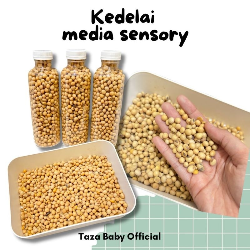 Kedelai Sensory Play / Mainan Sensory / Media sensory play / Mainan sensory play / Sensory Bin