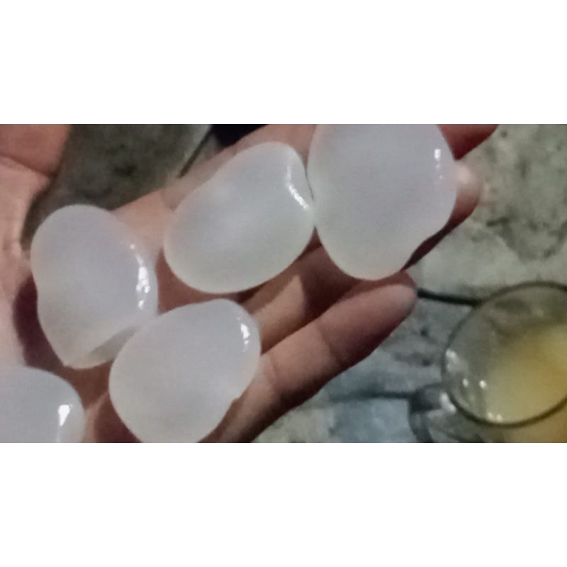 

kolang kaling super gepeng medan (Size : besar- jumbo)