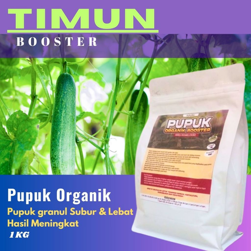 Pupuk Timun Organik: Bunga Lebat, Tidak Rontok, Panen Melimpah untuk Timun Suri, Lalap & Booster