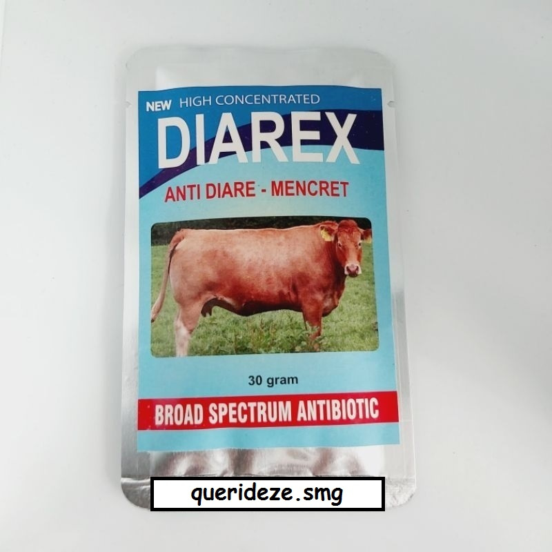 Diarex sapi 30 gr obat diare mencetak sapi murah