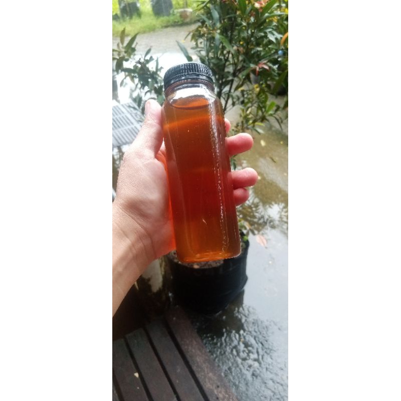 

madu murni