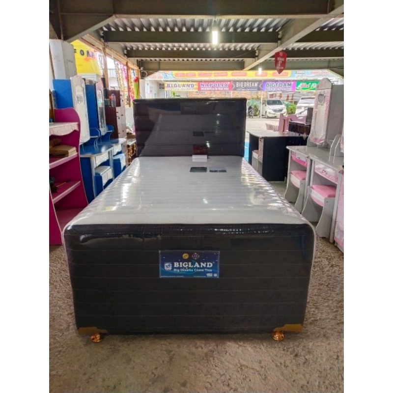 Bed dorong 120x200 Bigland Exclusive