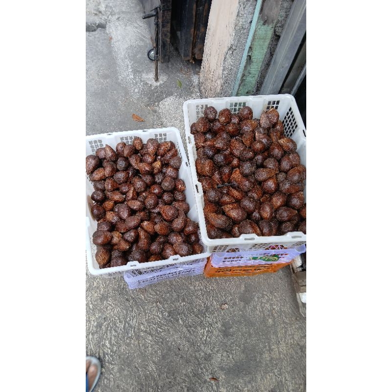 

salak pondoh