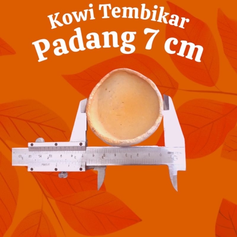KOWI TEMBIKAR PADANG Ukuran 7 cm ISI 10 Pcs