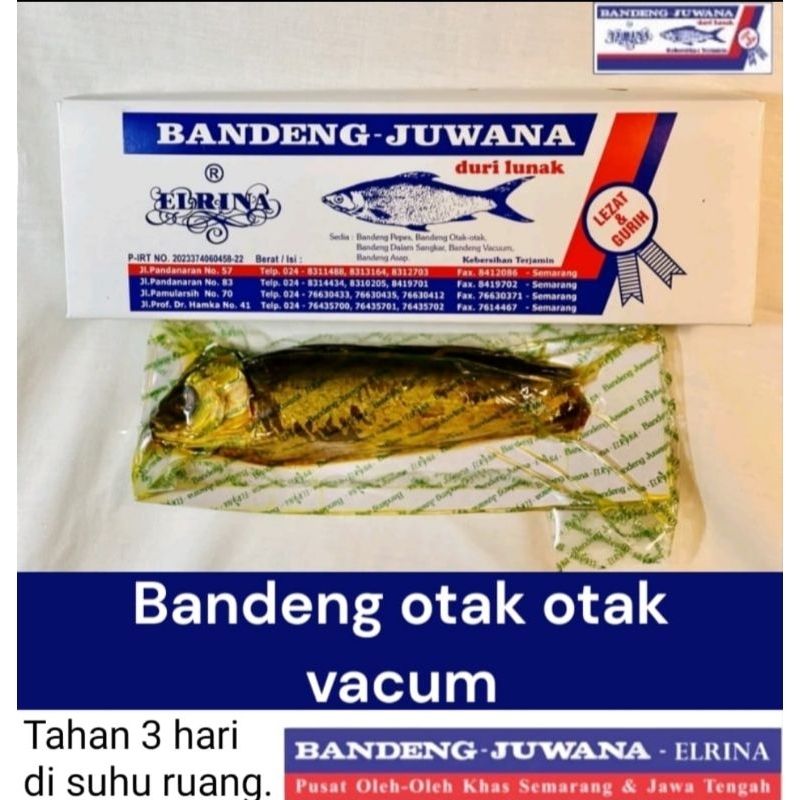 

Otak Otak Bandeng Juwana Elrina Semarang mitra snack