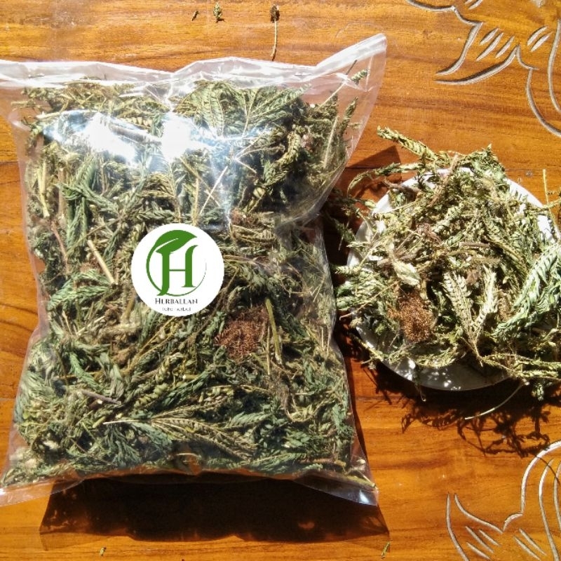 

Daun Putri Malu kering 250 gram