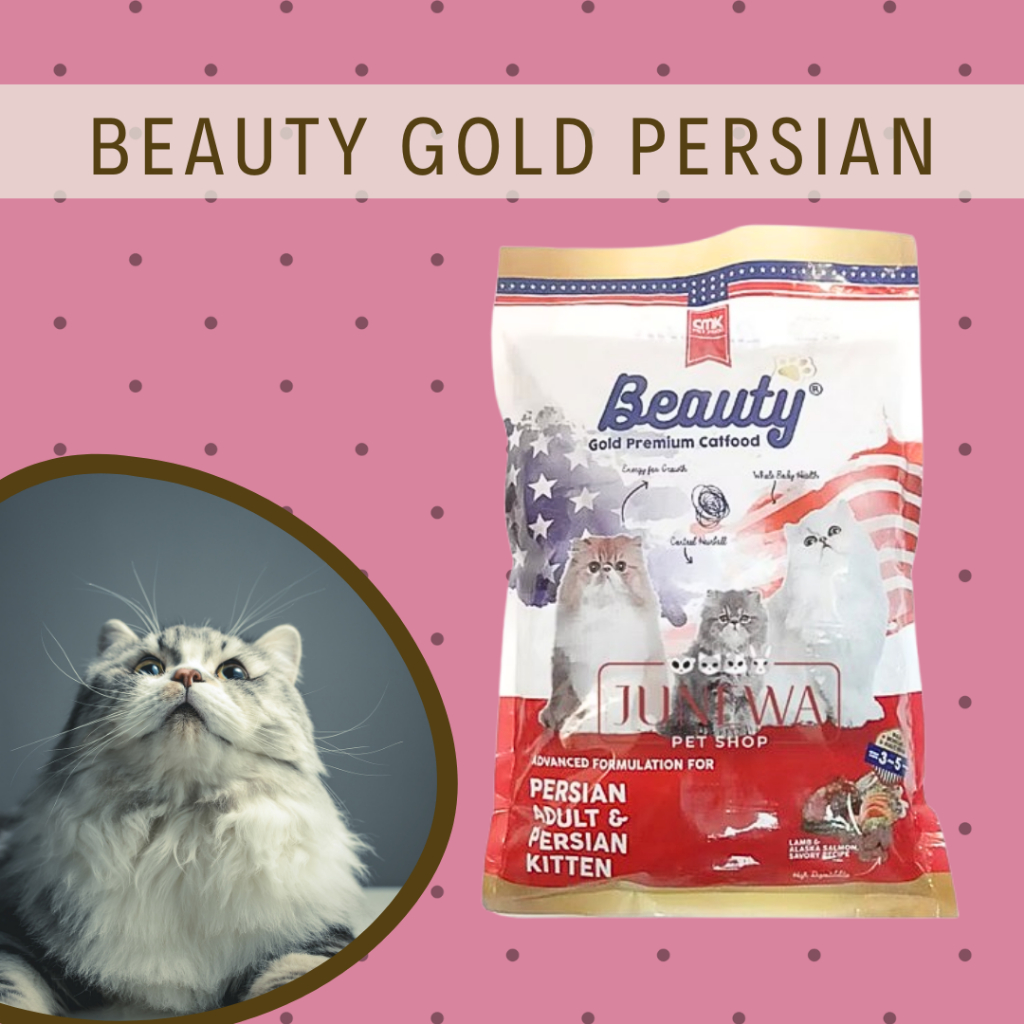 Beauty Persian Makanan Kucing Beauty Gold Persian