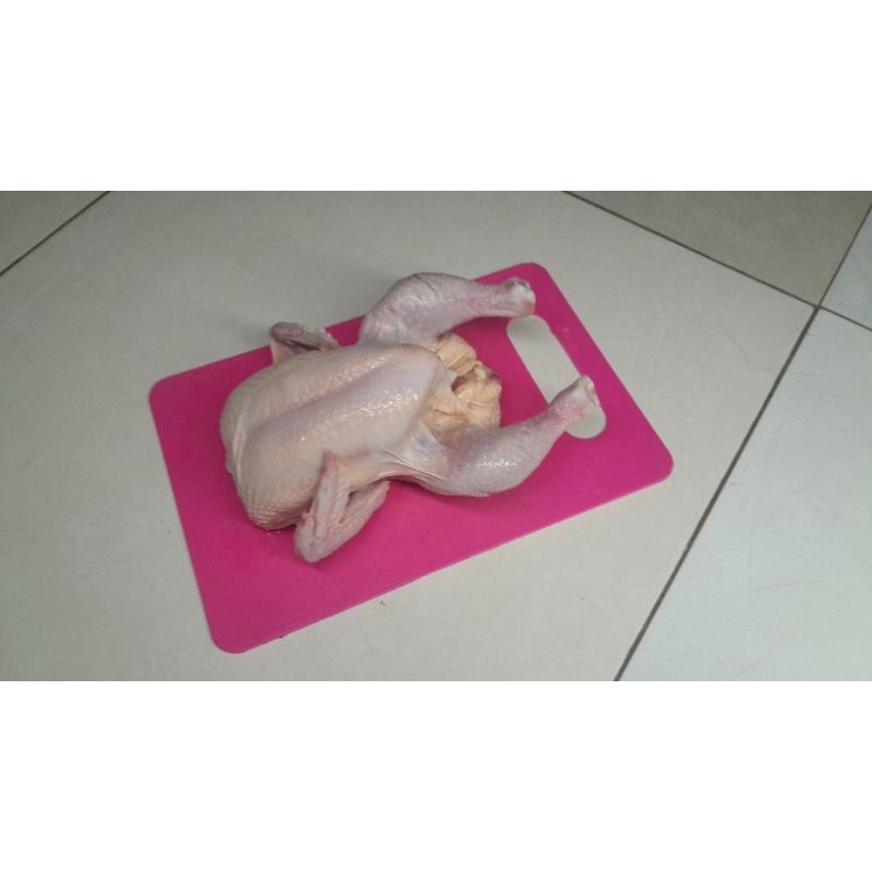 

Ayam Broiler 600gr / Ayam Utuh