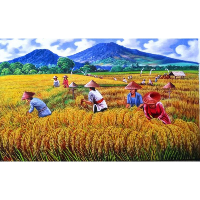 Lukisan Pemandangan Panen Raya | Lukisan panen raya padi | Lukisan panen padi