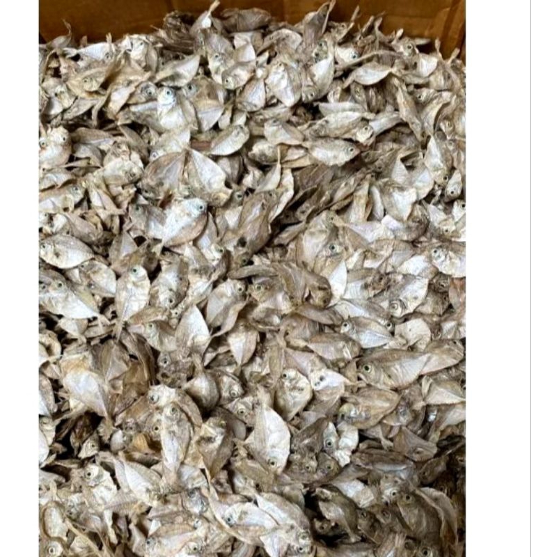 ikan petek dodok td tawar 2kg