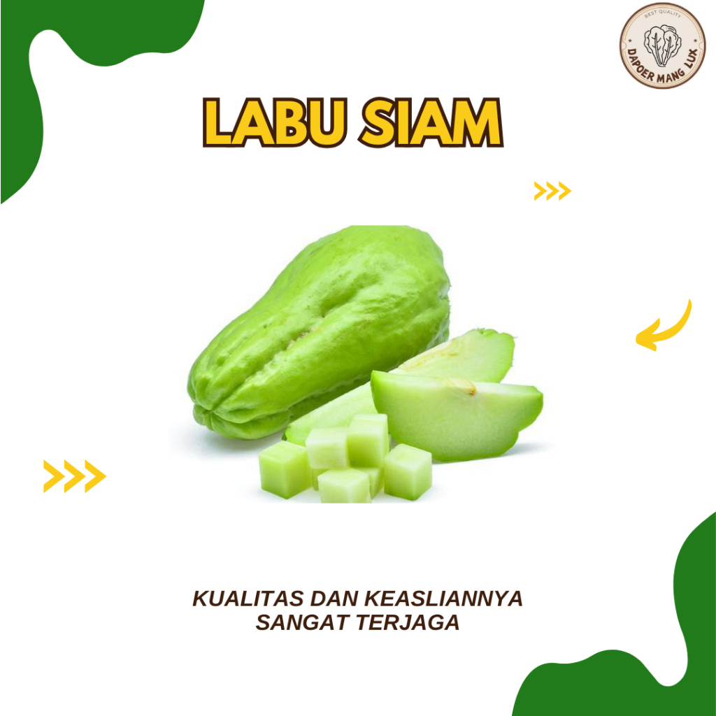 

LABU SIAM 1 PCS FRESH BEST QUALITY