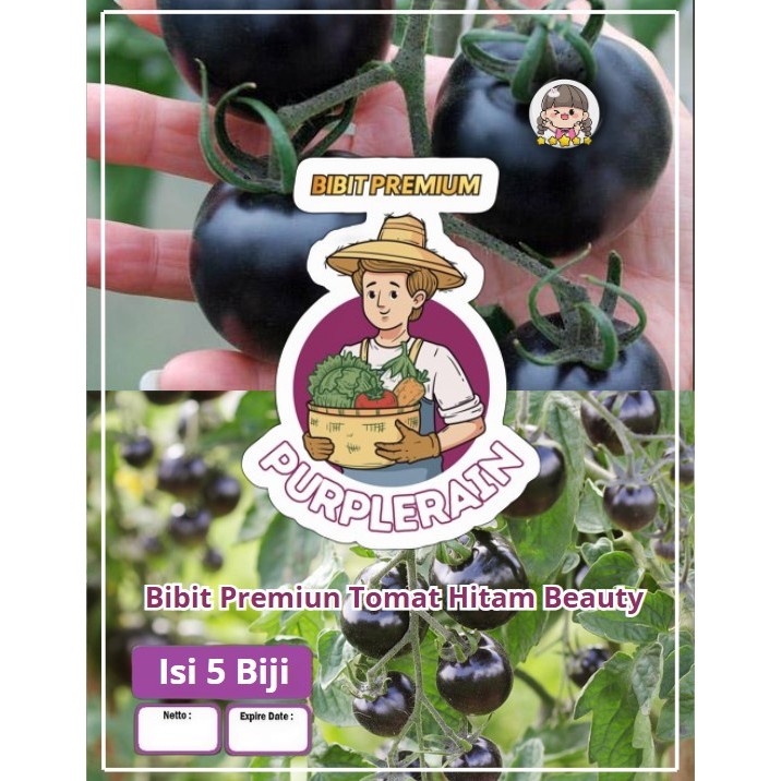Bibit Premium Tomat Hitam Beauty | Biji Benih Tomat Hitam | Biji Bibit Tomat
