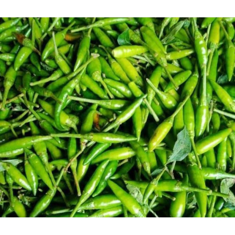 

KIRIM INSTANT Cabai rawit ijo 100g