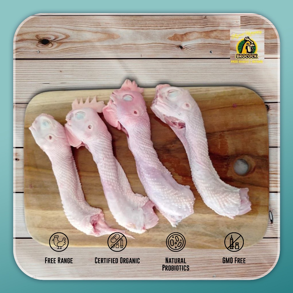 

Ayam Kampung Brocock Kepala