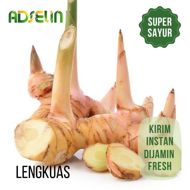 

Lengkuas Rempah Segar Langkoas Sayuran Kirim Instan Adselin