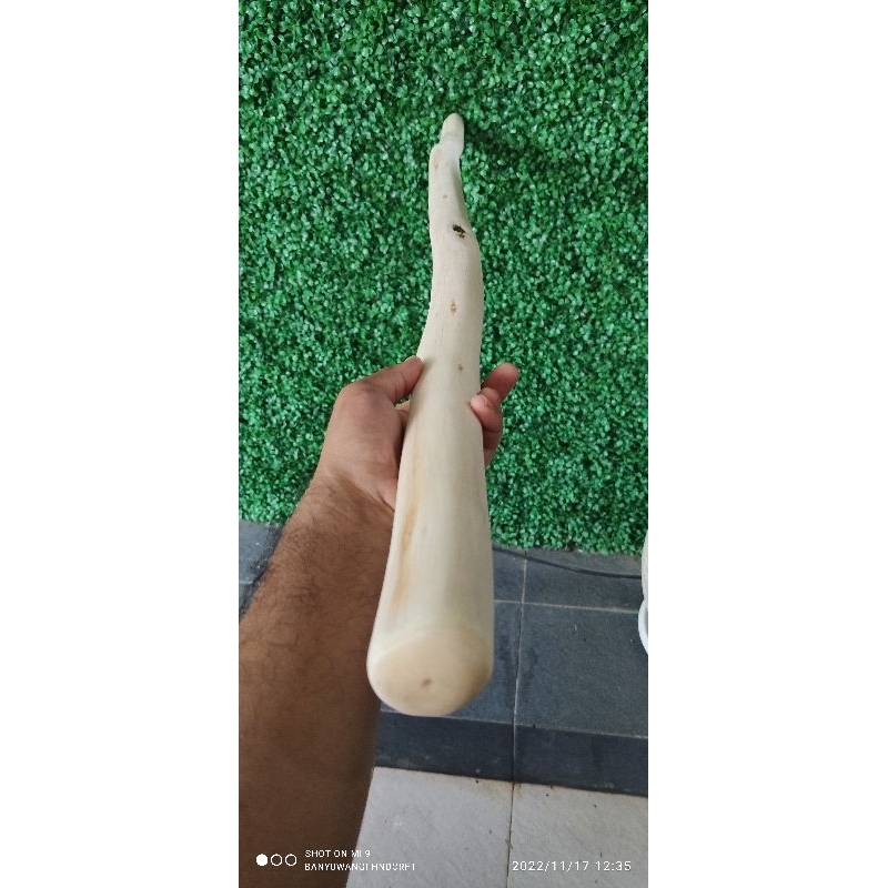 tongkat kayu Bidara alami natural