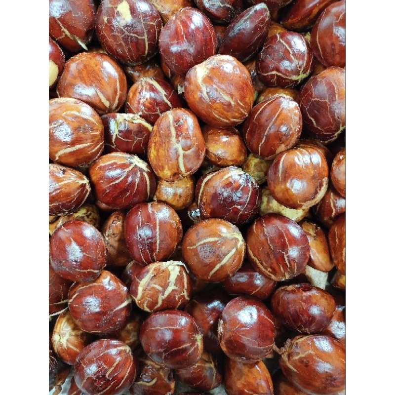 

jengkol mentah segar premium