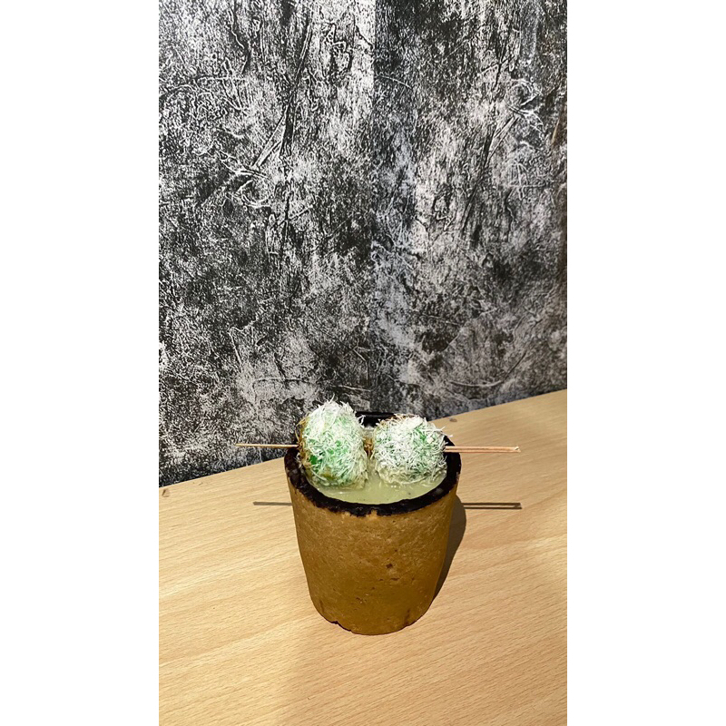 

Es Kopi Klepon with Cookie Cup