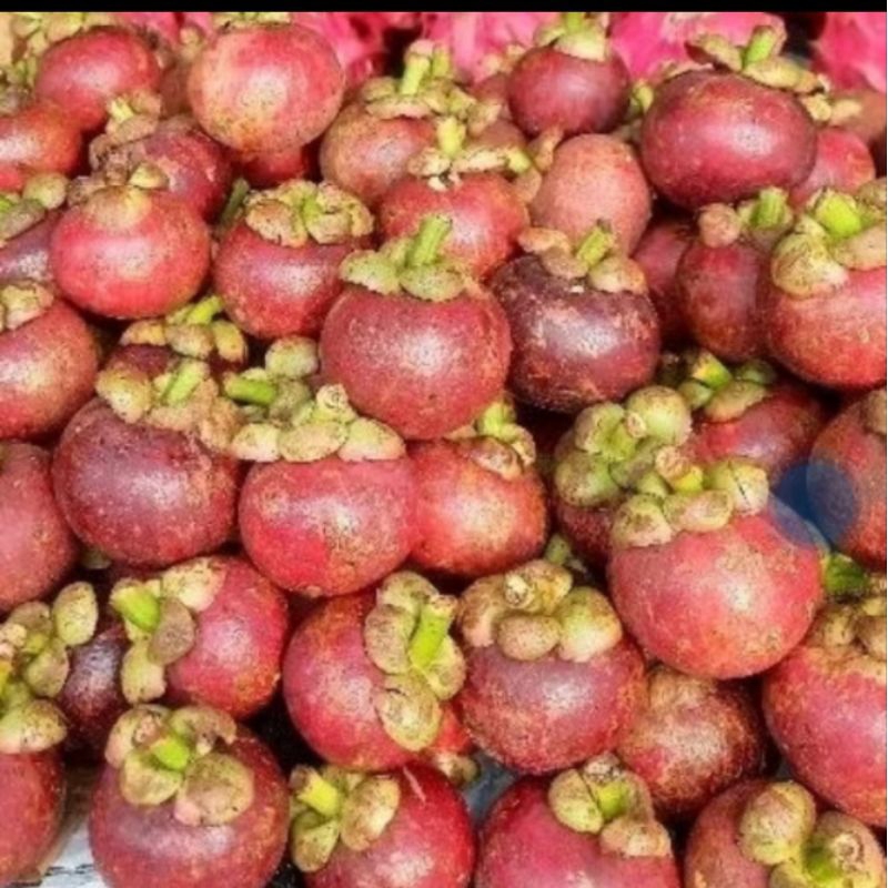 

Manggis super manis