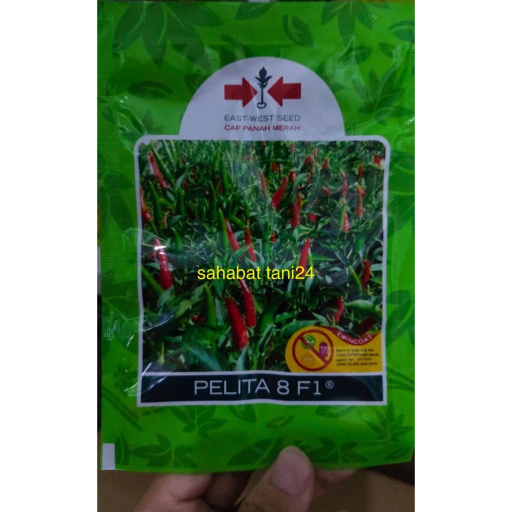 benih cabe PELITA 8 F1 2250 butir cabai rawit hijau dari panah merah