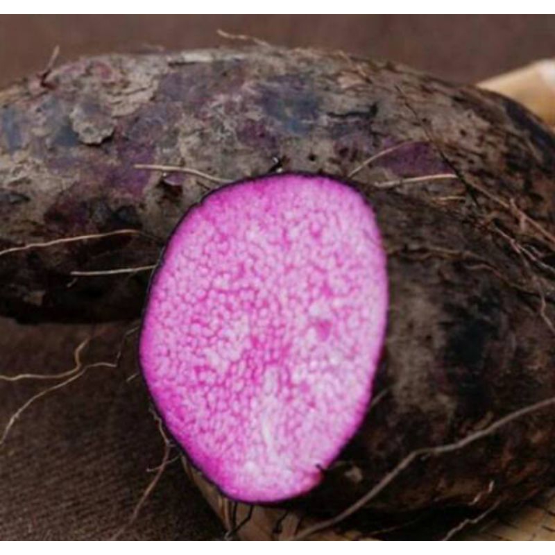 

UMBI UWI UNGU 500 gram. SEGARRRR!!!