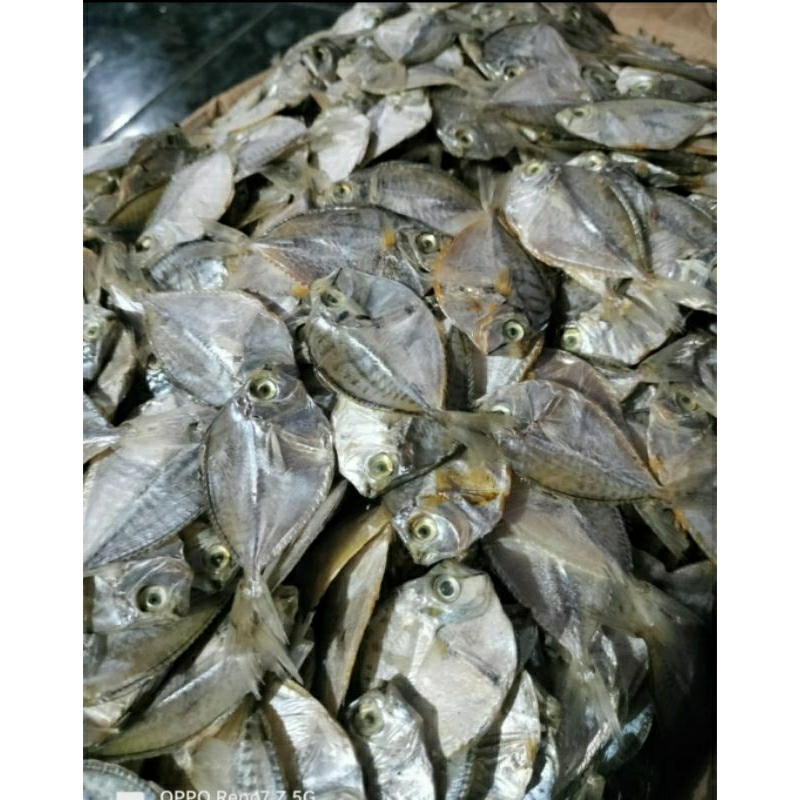 

ikan asin petek kering 250 gr