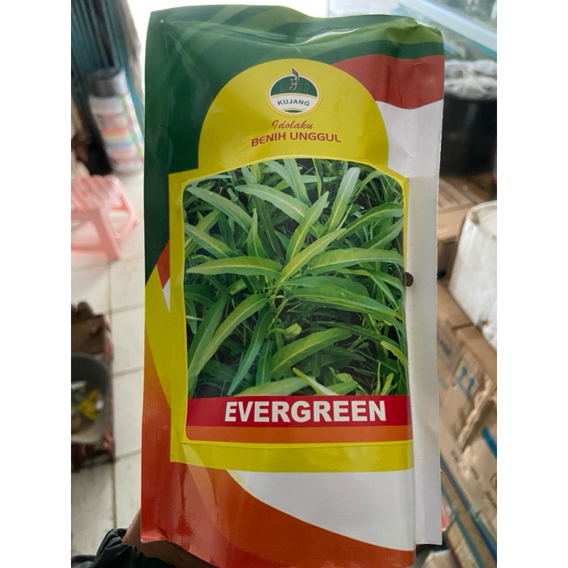 

Benih Kangkung Daun Sempit Evergreen @500gr - Exp 03-2026