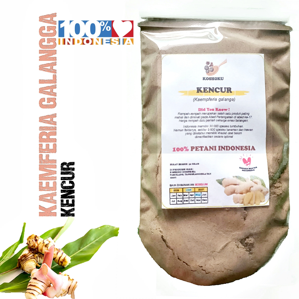 

Kencur Bubuk 50 Gram Tanpa Campuran Curcuma Powder