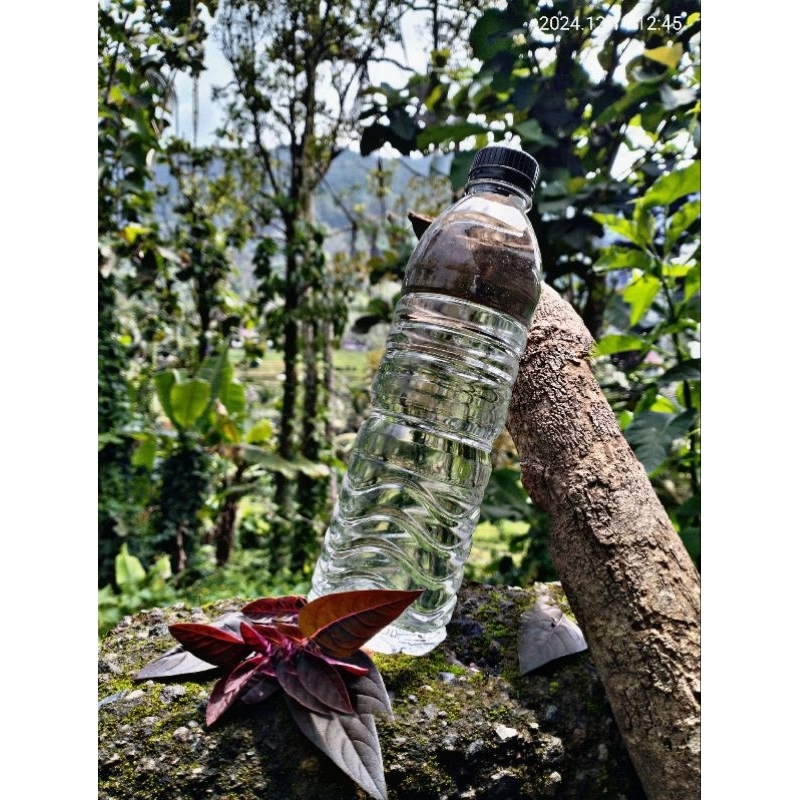 

jamu bali