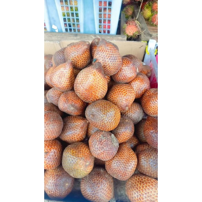 

salak madu manis fresh 1kg