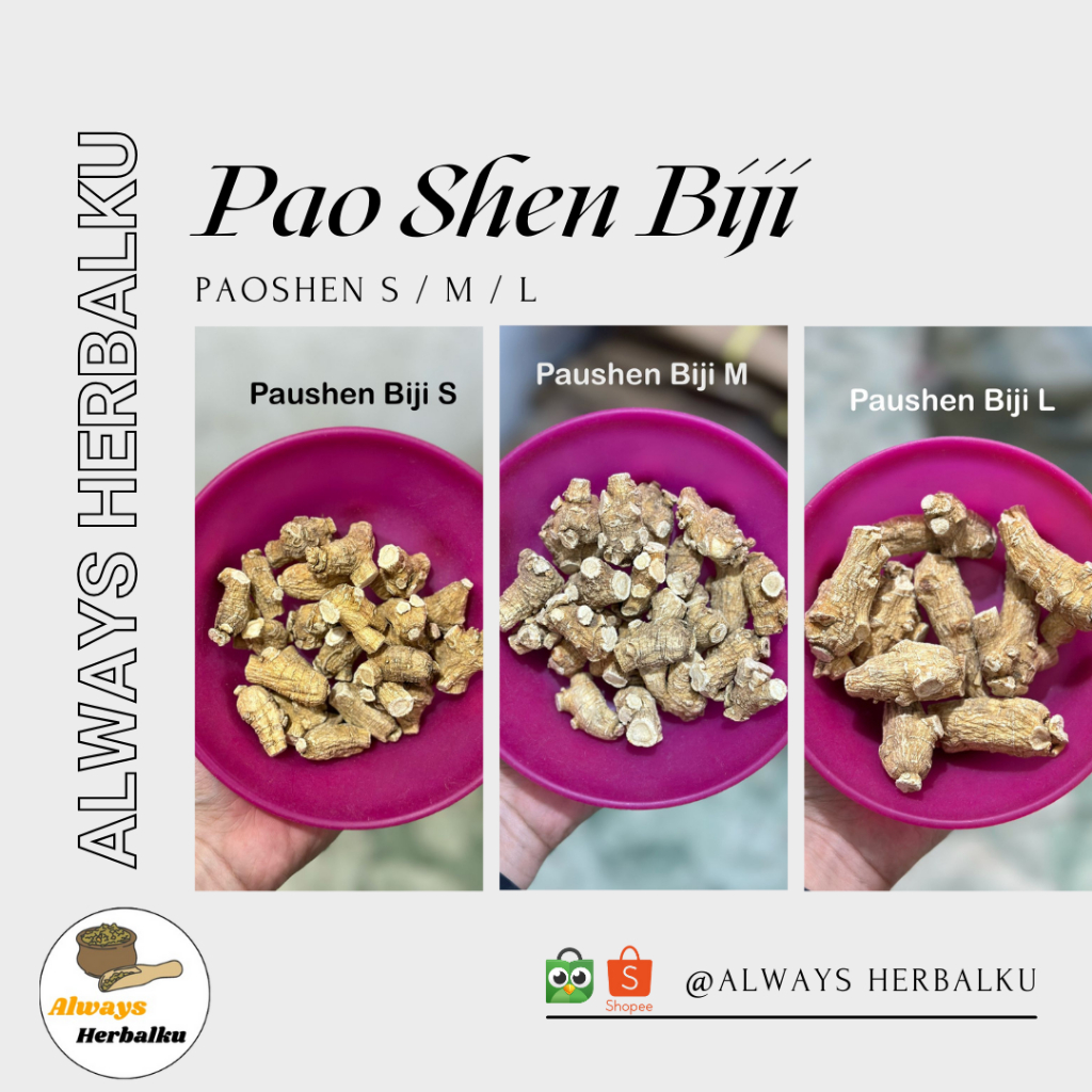 

Pao shen biji / Pao shen utuh / Yo som pian / Ginseng / Pao shen belom potong / Whole ginseng / 人参 Ren shen / American ginseng / Canada ginseng (100gr)