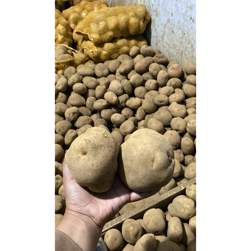 

Kentang Dieng 1kg ukuran besar